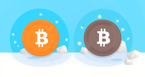 Slush Pool vs SparkPool: Which One is Better for Bitcoin Miners?